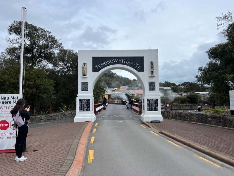 WHAKAREWAREWA - The Living Maori Village - Group Tour Ex AKL - Potential Drawbacks and Considerations