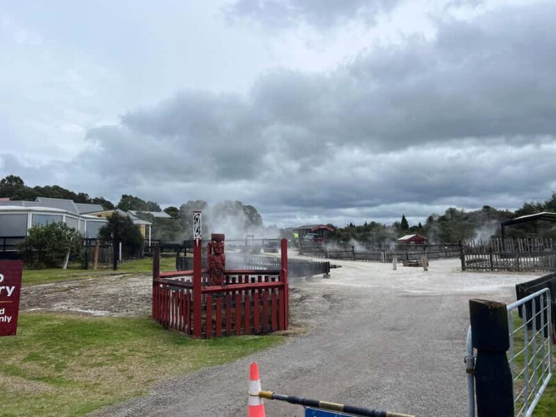 WHAKAREWAREWA - The Living Maori Village - Group Tour Ex AKL - Who Will Love This Tour?
