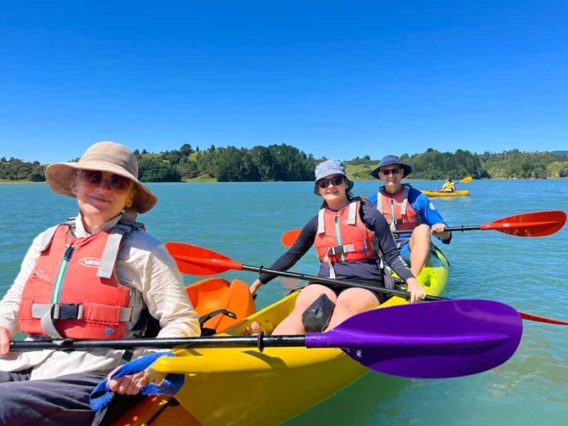 Whakatane: Ohiwa Harbour Guided Kayak Tour - Good To Know