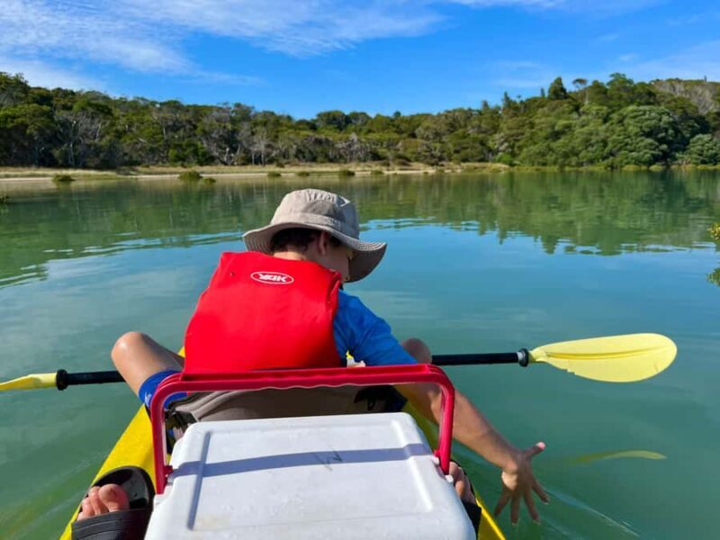 Whakatane: Ohiwa Harbour Guided Kayak Tour - The Experience Provider and Practical Details