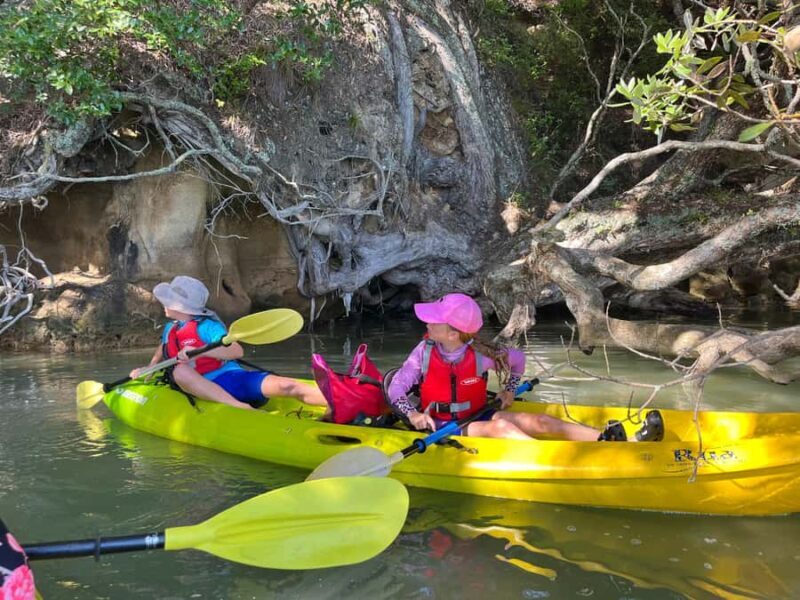 Whakatane: Ohiwa Harbour Guided Kayak Tour - Final Thoughts