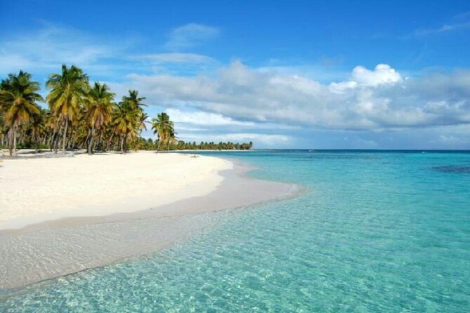 Whala Bavaro - Round Trip Shuttle - Punta Cana Airport - Airport Transfer Details