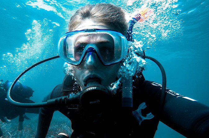 Whale and Dive Combo Tour in Los Cabos - The Flexibility of the Schedule  