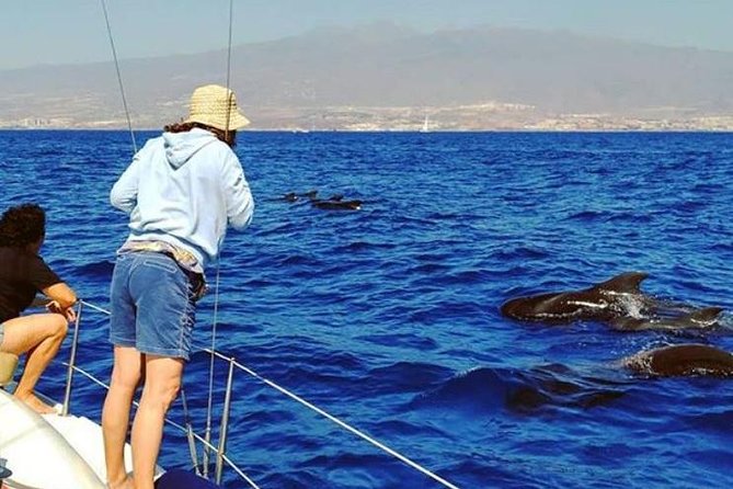 Whale and Dolphin Small Group Sailing From Tenerife South - Boat Trip for Whale and Dolphin Watching