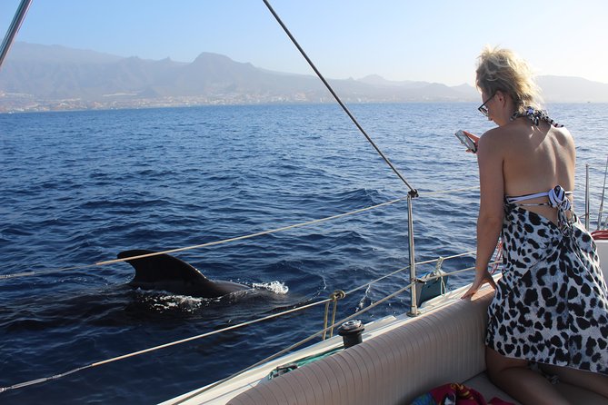 Whale and Dolphin Small Group Sailing From Tenerife South - Accessibility and Transportation Details