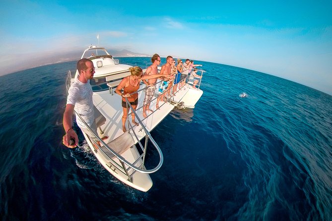 Whale and Dolphin Watching Catamaran With Transfer and Buffet - Pricing and Booking Details