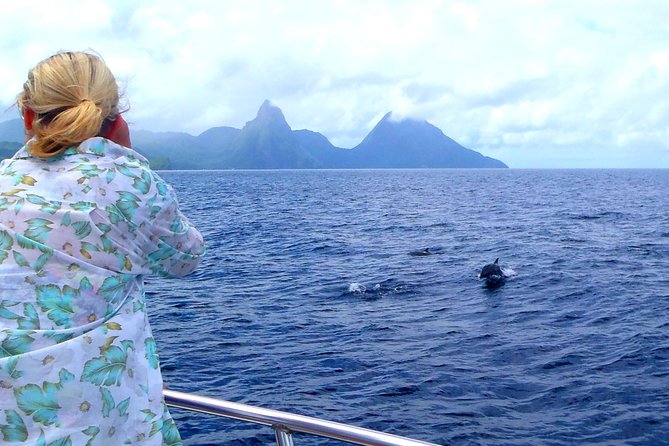 Whale and Dolphin Watching Cruise in St Lucia - Traveler Photos and Reviews