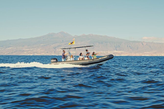 Whale and Dolphin Watching EcoAdventure in Tenerife - Educational Experience and Memorable Moments