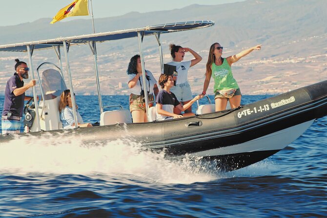 Whale and Dolphin Watching EcoAdventure in Tenerife - The Sum Up