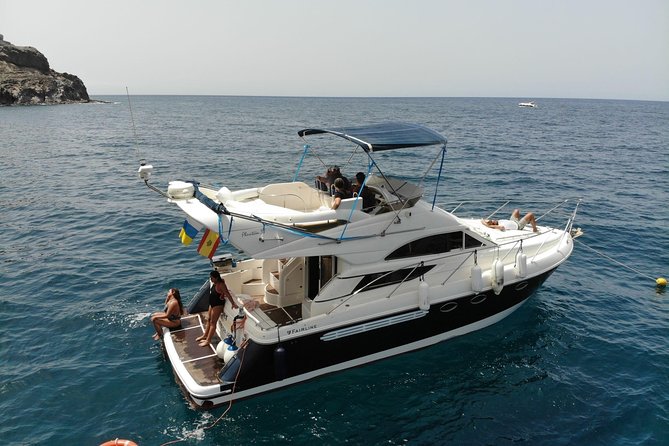 Whale and Dolphin Watching in Mogán for Small Groups in Gran Canaria - Yacht Features and Amenities