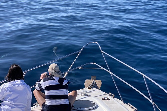 Whale and Dolphin Watching in Mogán for Small Groups in Gran Canaria - Common Questions