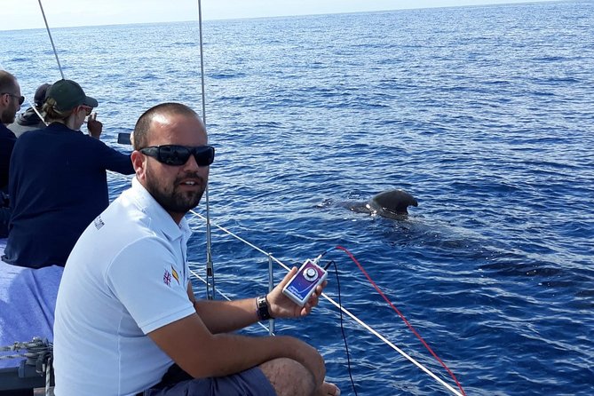 Whale and Dolphin Watching Sailing Boat With Drinks, Snacks and Swimming Time - Common Questions