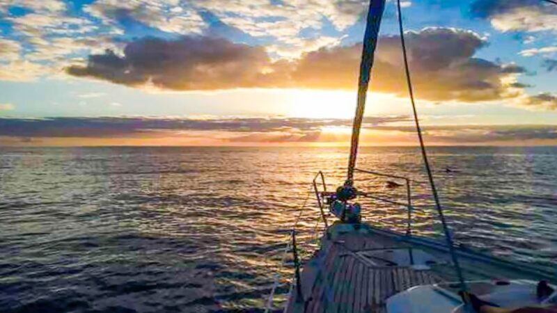 Whale and Dolphin Watching Sailing Tour Los Gigantes (3H) - The Sum Up