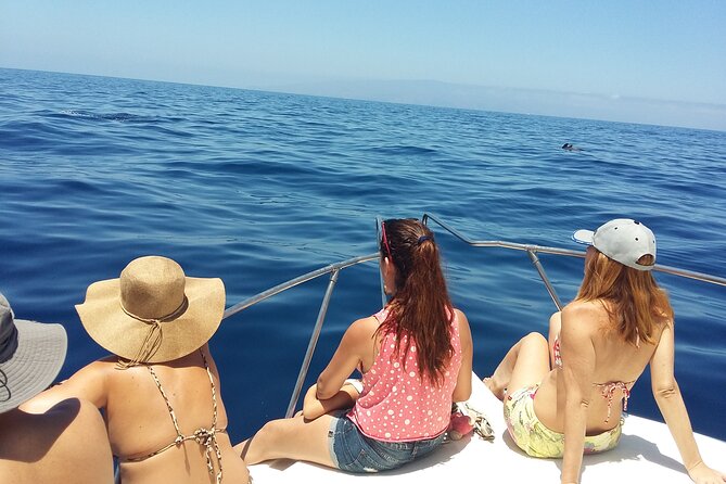 Whale and Dolphin Watching Tour Los Gigantes and Masca in Small Groups - Meeting and Pickup Details