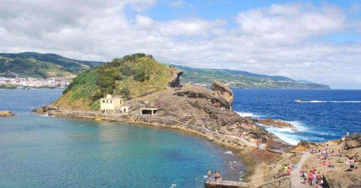 Whale and Dolphin Watching With Vila Franca Islet Visit - Tour Description