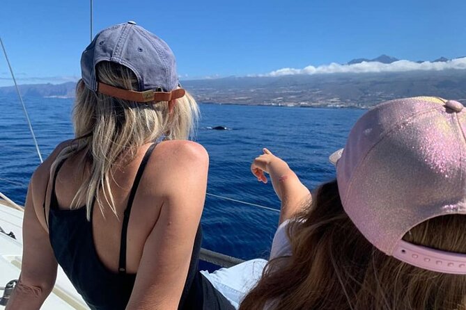 Whale and Dolphin Watching Yacht Trip in Puerto Colon - Background