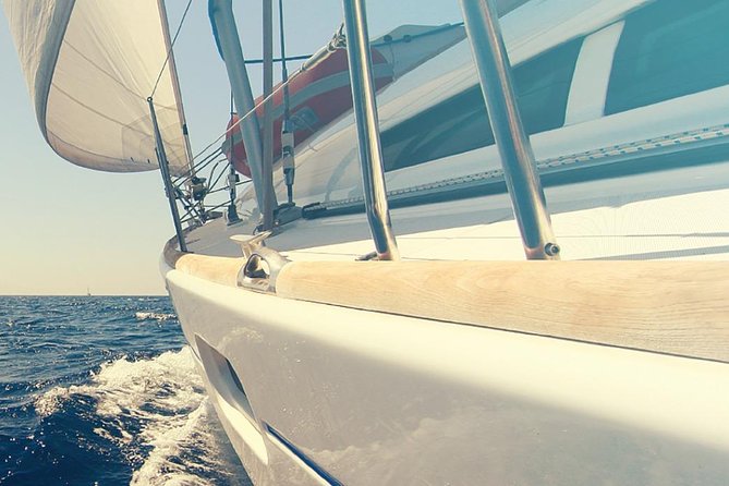 Whale and Dolphin Watching Yacht Trip in Puerto Colon - Tour Details