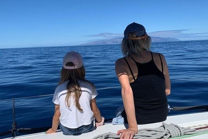 Whale and Dolphin Watching Yacht Trip in Puerto Colon - Viator Information