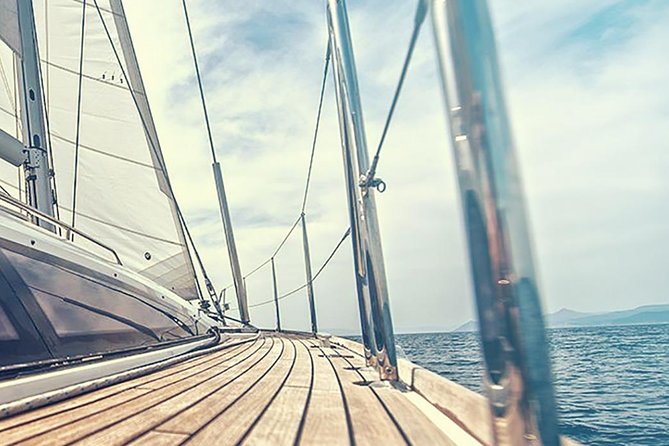 Whale and Dolphin Watching Yacht Trip in Puerto Colon - Important Reminders