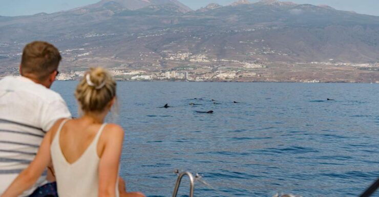 Whale and Dolphin Watching Yacht Trip in Puerto Colon - Activity Details
