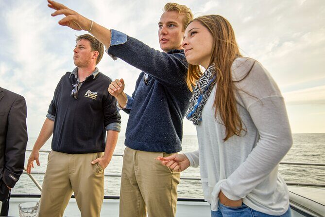 Whale and Wildlife Yacht Cruise in Santa Barbara - The Experience: What to Expect on the Whale and Wildlife Yacht Cruise