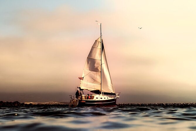 Whale & Dolphin Watching Boat Trip in Tenerife On a Sailing Boat (3 Hr) - Inclusions and Services
