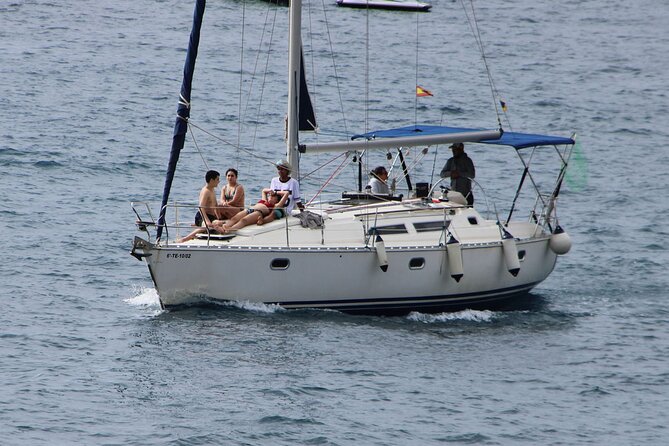 Whale & Dolphin Watching Boat Trip in Tenerife On a Sailing Boat (3 Hr) - Background