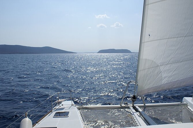 Whale & Dolphin Watching in Tenerife (Puerto Colon) On a Large Catamaran - Common Questions