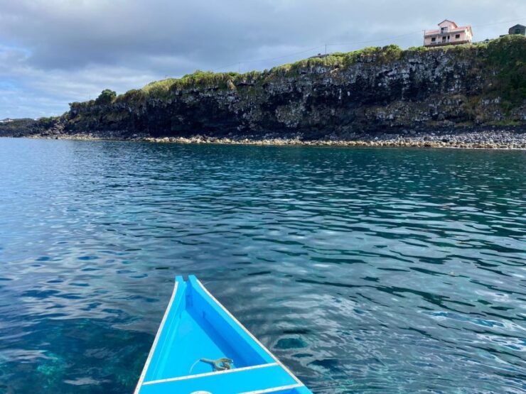 Whale Memory - Unforgetable Ride in the Waters of Pico - Pricing and Booking Details