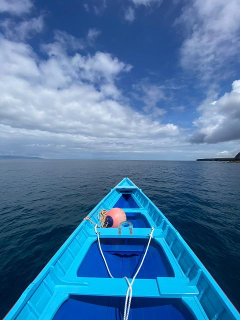 Whale Memory - Unforgetable Ride in the Waters of Pico - Inclusions