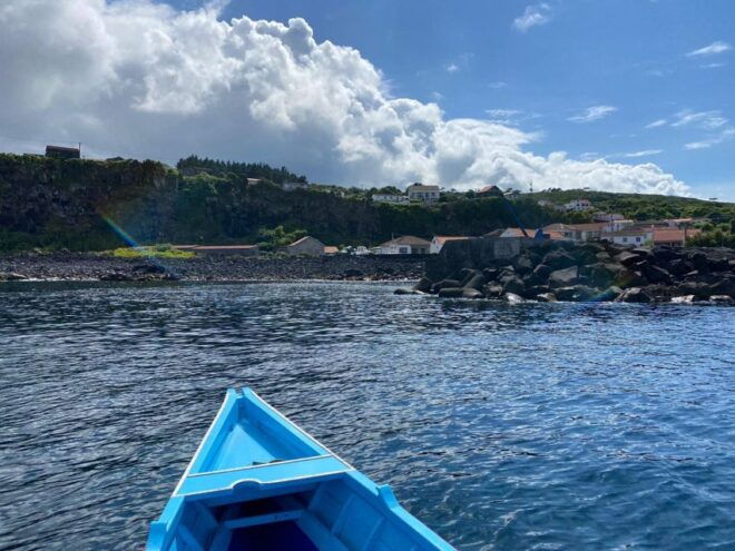 Whale Memory - Unforgetable Ride in the Waters of Pico - Additional Information