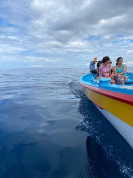 Whale Memory - Unforgetable Ride in the Waters of Pico - Frequently Asked Questions