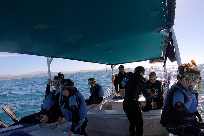 Whale Shark 3-Hours Tour in La Paz - Meeting and Pickup