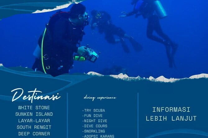 Whale Shark Adventure 2 Days 1 Night Sharing Trip - Practical Tips for Future Travelers