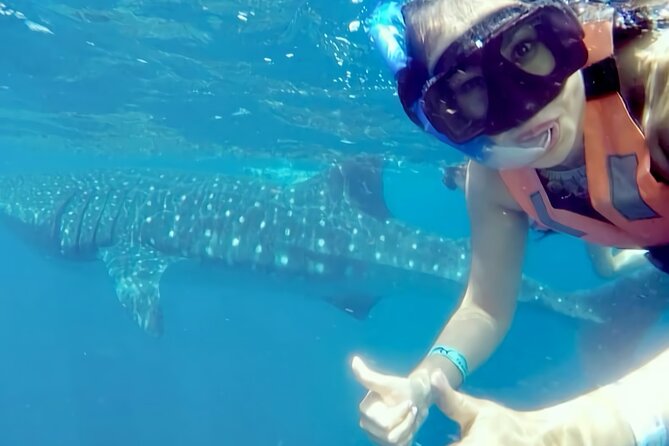 Whale Shark Adventure in Isla Mujeres and Cancun - Safety Measures and Guidelines