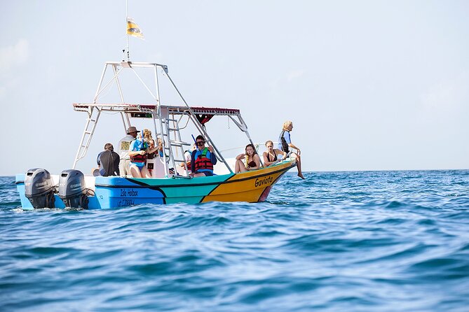 Whale Shark and Snorkeling Adventure From Isla Holbox - The Sum Up
