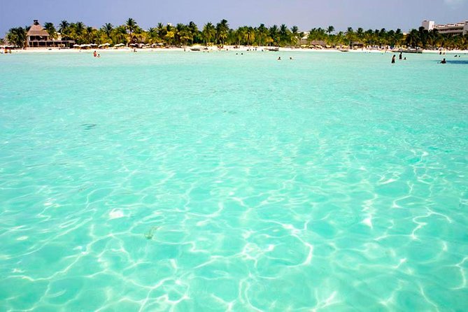 Whale Shark Encounter Experience in Cancun (Snack Lunch Included) - The Sum Up