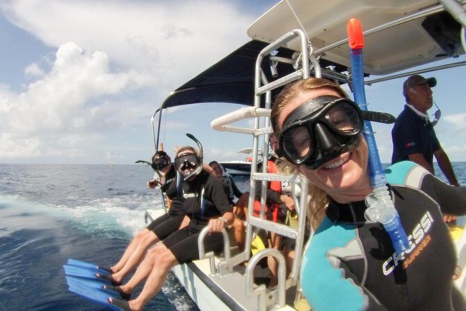 Whale shark encounter Private tour - swim with whale shark cancun - Practical Details and Considerations