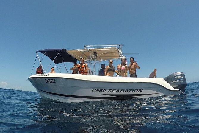 Whale Shark Experience From Playa Del Carmen - Cancellation Policy and Refund Details