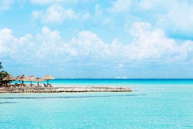 Whale Shark Experience Lifetime Memory in Cancun (Snack Included) - Pickup and Drop-off