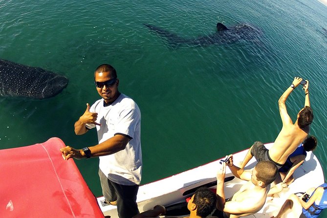 Whale Shark From Cancun, Riviera Maya and Tulum All Inclusive - Cancellation and Refund Policy