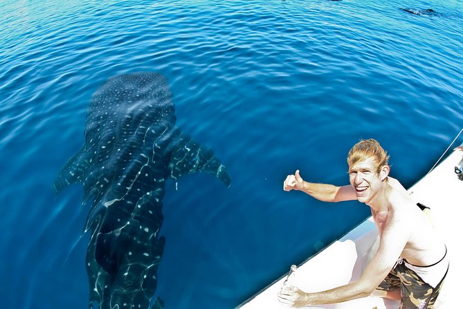 Whale Shark in Cancun - Inclusions and Services Provided