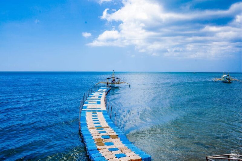 Whale Shark Interaction at Donsol Sorsogon by ZCHEDULISTA - The Experience on the Water