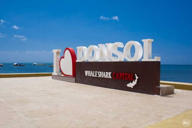 Whale Shark Interaction at Donsol Sorsogon by ZCHEDULISTA - Cost & Value Analysis