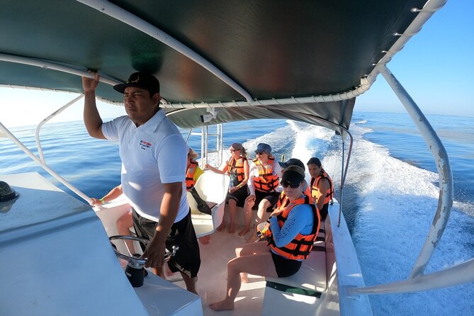 Whale Shark Sighting & Snorkeling Experience With Isla Mujeres Visit - The Sum Up