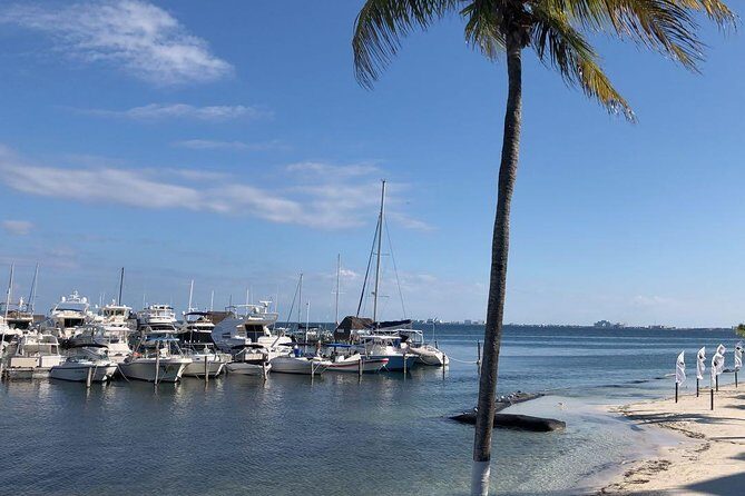 Whale Shark Snorkel Experience in Cancun (Snack Lunch included) - FAQ