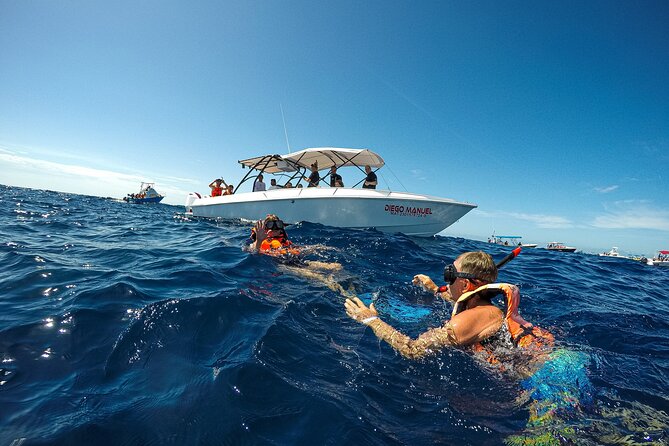 Whale Shark Snorkeling Adventure With Lunch - Questions and Contact Information
