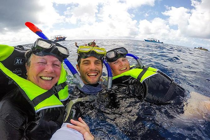 Whale Shark Tour From Cancun, Playa Del Carmen, Tulum and Riviera Maya - Pricing and Booking