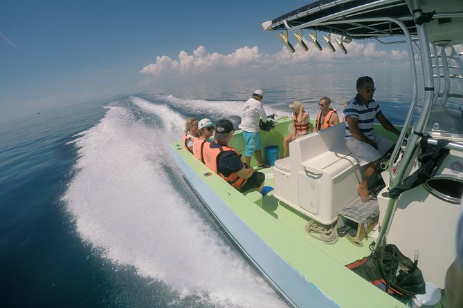 Whale Shark Tour From Cancun, Playa Del Carmen, Tulum and Riviera Maya - Meeting and Pickup