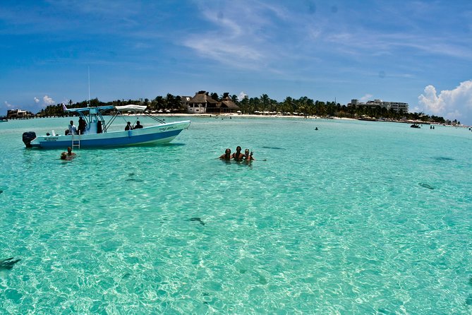 Whale Shark Tour From Cancun, Playa Del Carmen, Tulum and Riviera Maya - Check Availability and Reserve Now